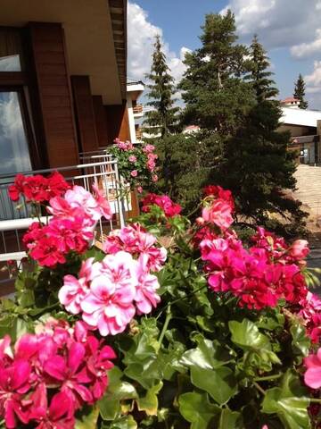 Фото Отель Dafovska Hotel г. Пампорово 4