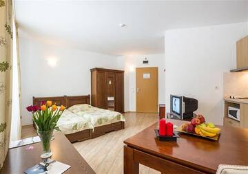 Фото номера Номер-студио (для 2 взрослых) и бесплатной парковкой Отель The Stream Resort г. Пампорово 4